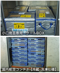 小口商品専用クールBOXと国内航空コンテナ（冷蔵・冷凍仕様）