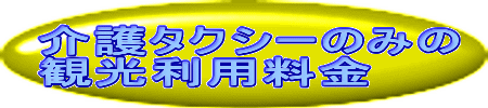 介護タクシーのみの
観光利用料金